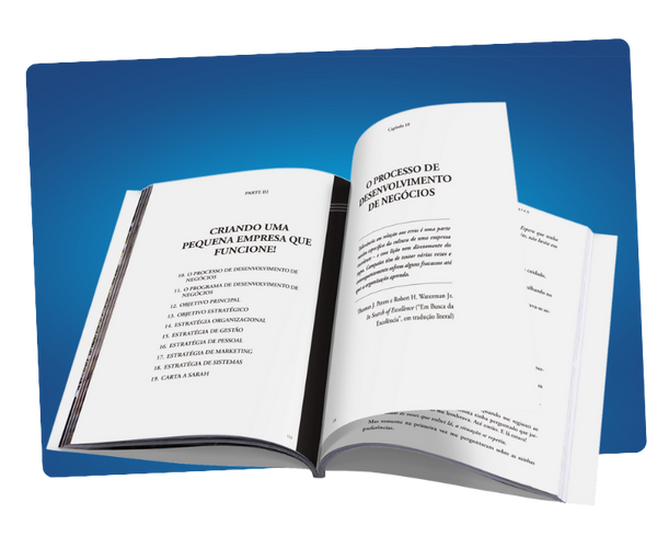 O Mito do Empreendedor