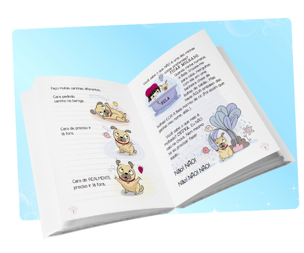 Diário de Um Pug : Pug e o Foguete