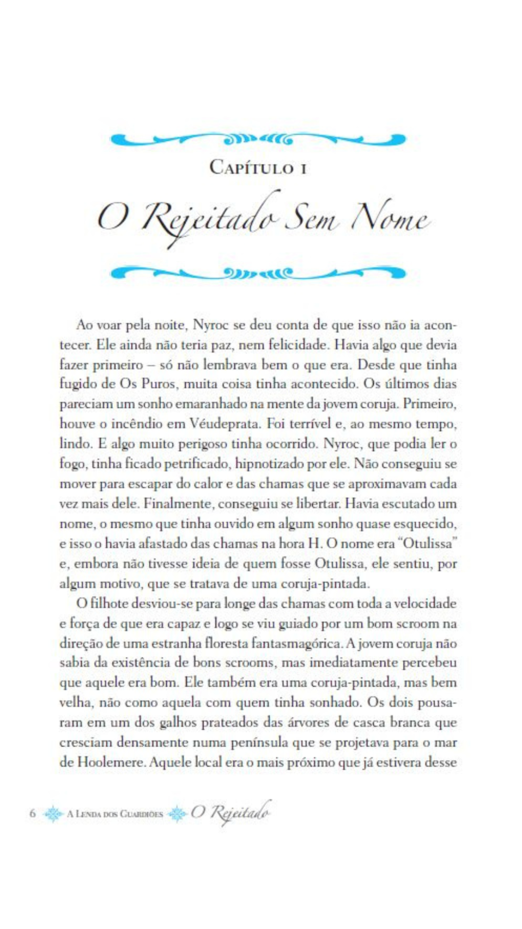 A Lenda dos Guardiões 08 - o Rejeitado