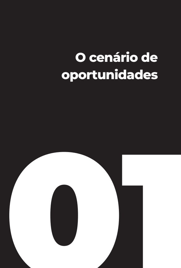 12 Meses para 1 Milhão de Dólares - Editora Fundamento livro_infantil