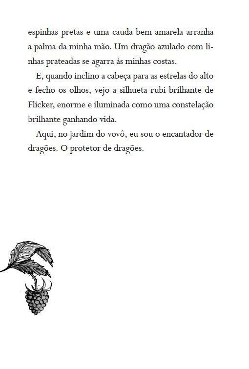 Kit O Menino Que Criava Dragões - 4 Livros (2 ao 5)