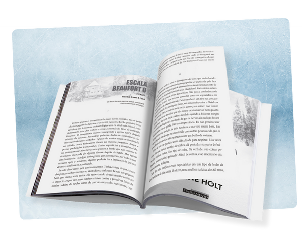 Na Boca do Leão - Anne Holt