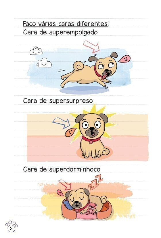 Diário de Um Pug: Superpug