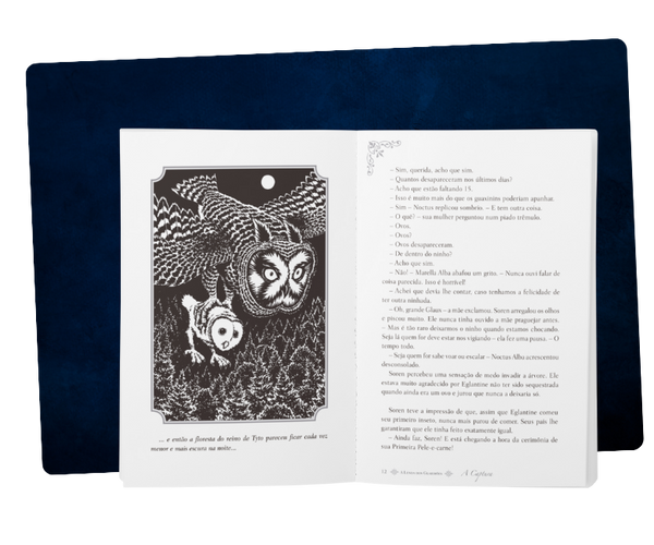 A Lenda dos Guardiões 01 - a Captura