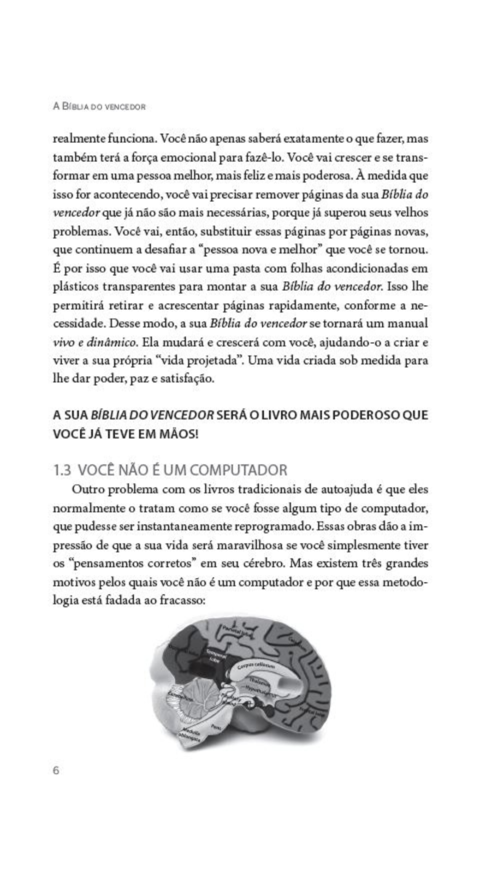 A Bíblia do Vencedor - Recarregue Seu Cérebro para Uma Mudança Permanente