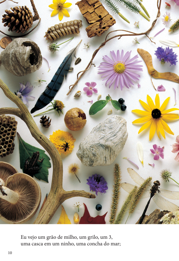 Onde Está? - Noite Assombrada