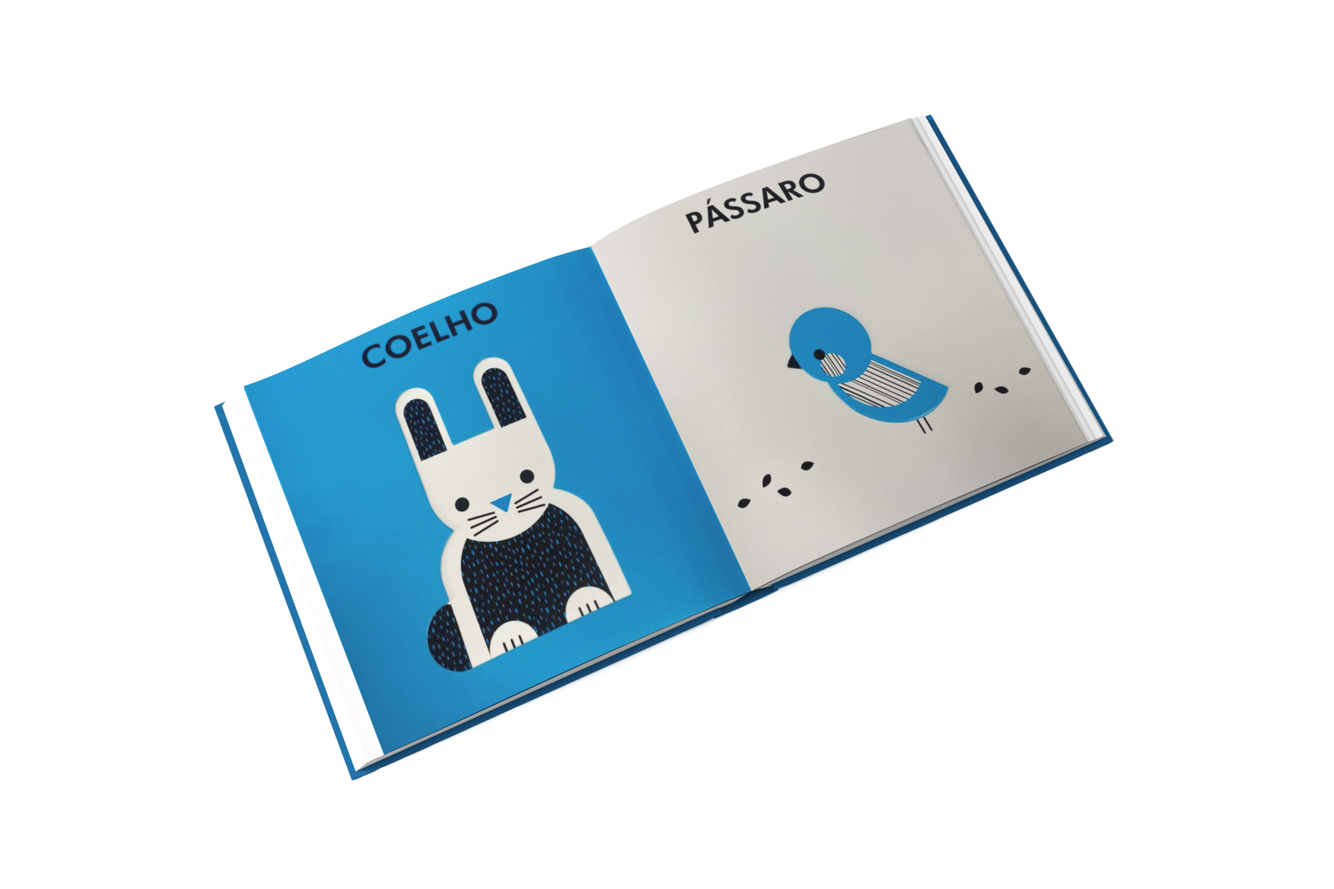 Kit Criança Brilhante e Curiosa