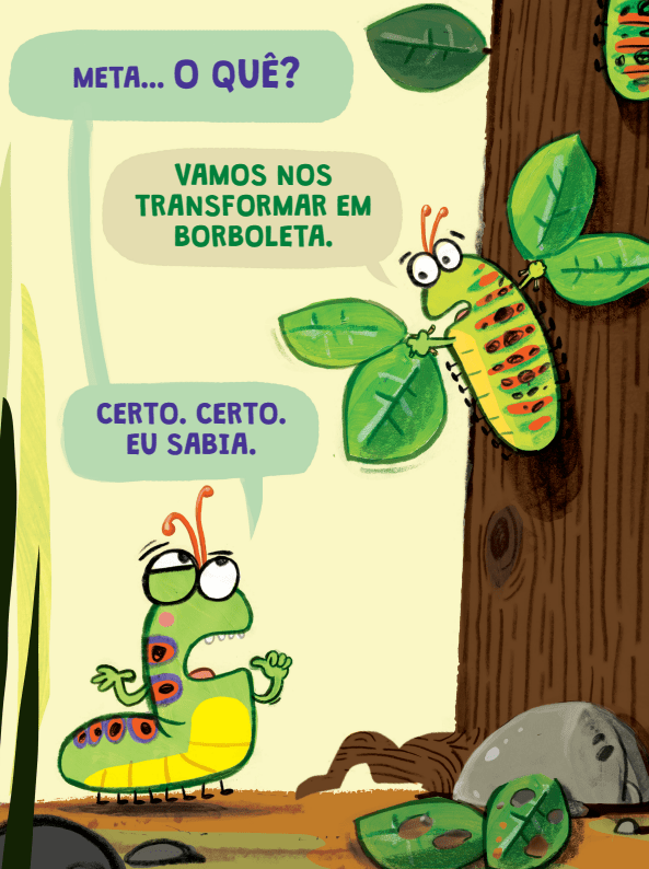 A Lagarta Muito Impaciente - Editora Fundamento livro_infantil