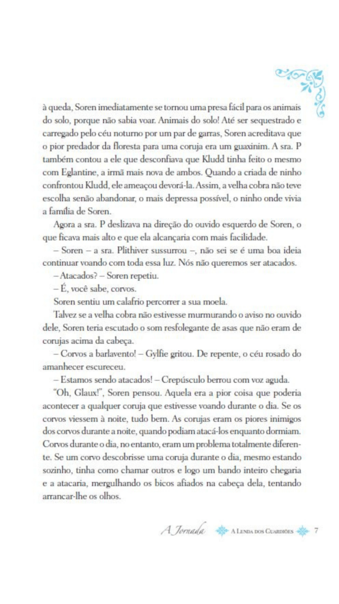 A Lenda dos Guardiões 02 - a Jornada - Editora Fundamento livro_infantil