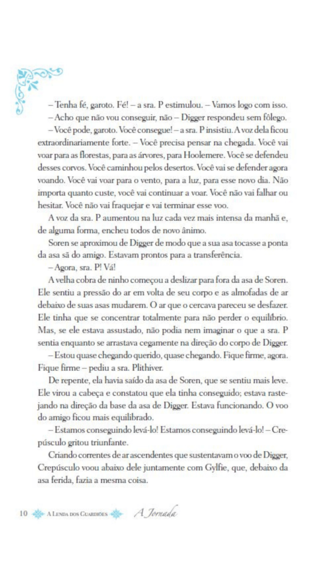 A Lenda dos Guardiões 02 - a Jornada - Editora Fundamento livro_infantil