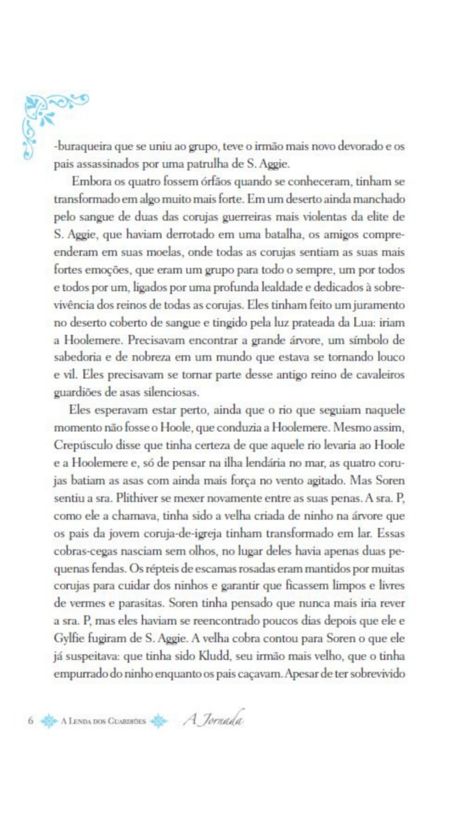 A Lenda dos Guardiões 02 - a Jornada - Editora Fundamento livro_infantil