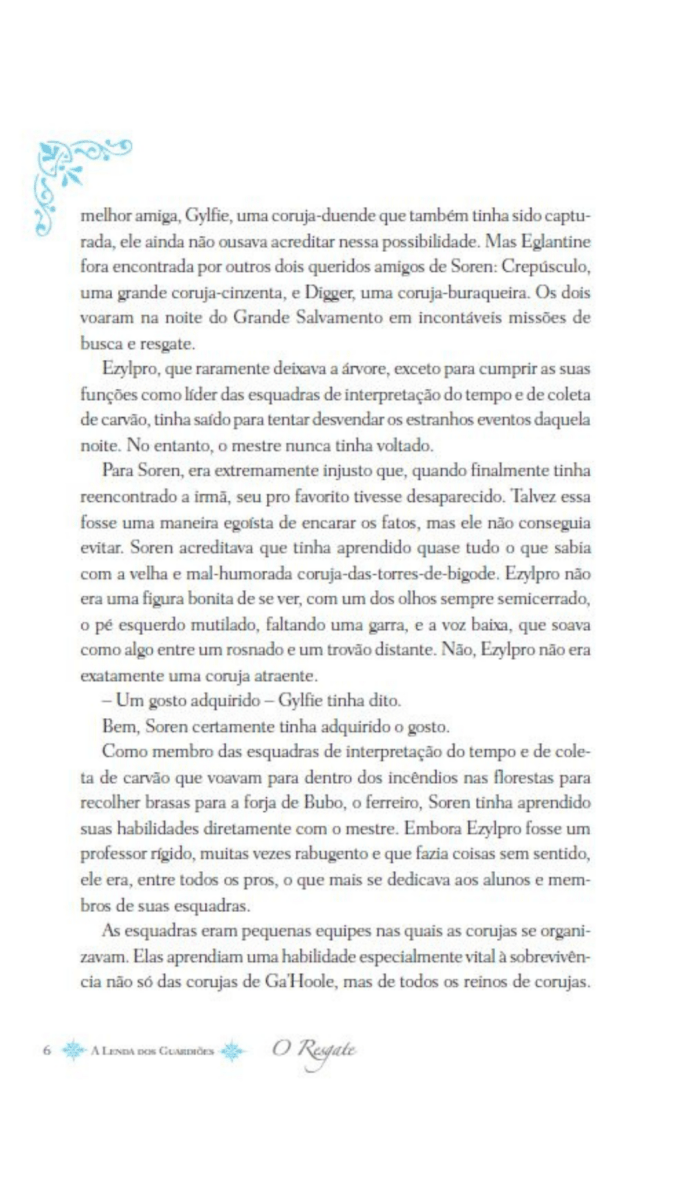 A Lenda dos Guardiões 03 - o Resgate - Editora Fundamento livro_infantil