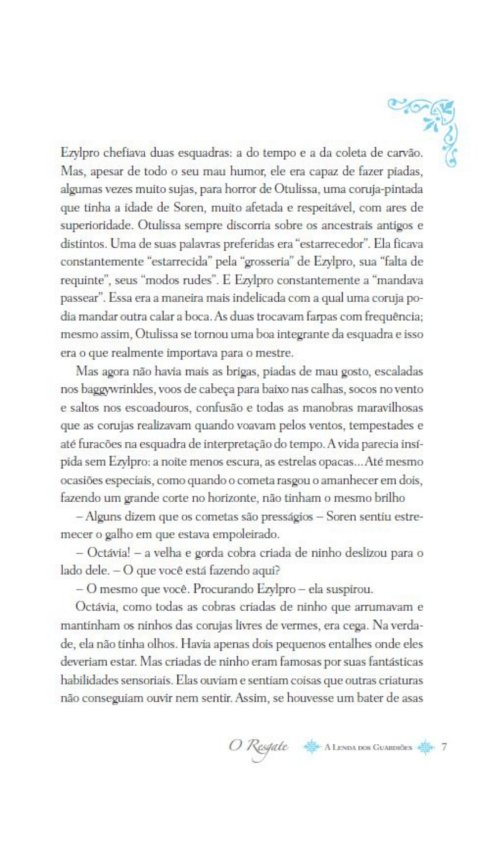 A Lenda dos Guardiões 03 - o Resgate - Editora Fundamento livro_infantil