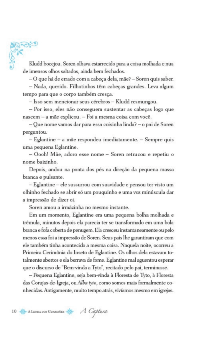 A Lenda dos Guardiões 04 - o Cerco - Editora Fundamento livro_infantil