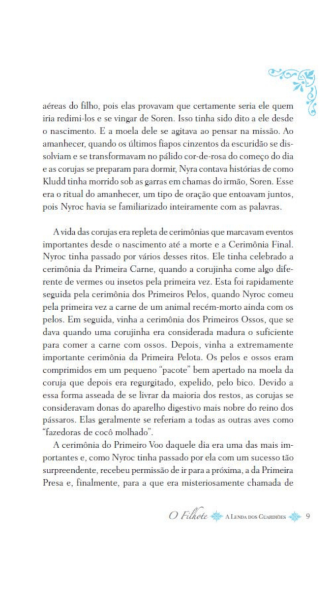 A Lenda dos Guardiões 07 - o Filhote - Editora Fundamento livro_infantil