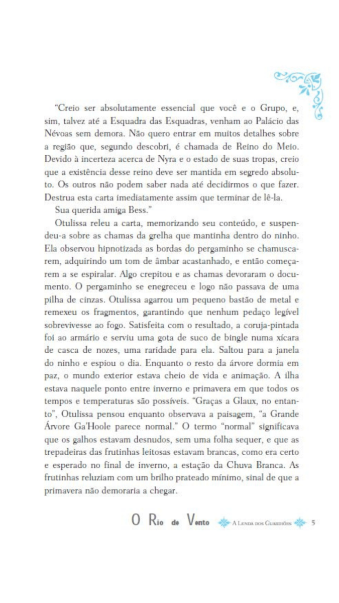 A Lenda dos Guardiões 13 - o Rio de Vento - Editora Fundamento livro_infantil