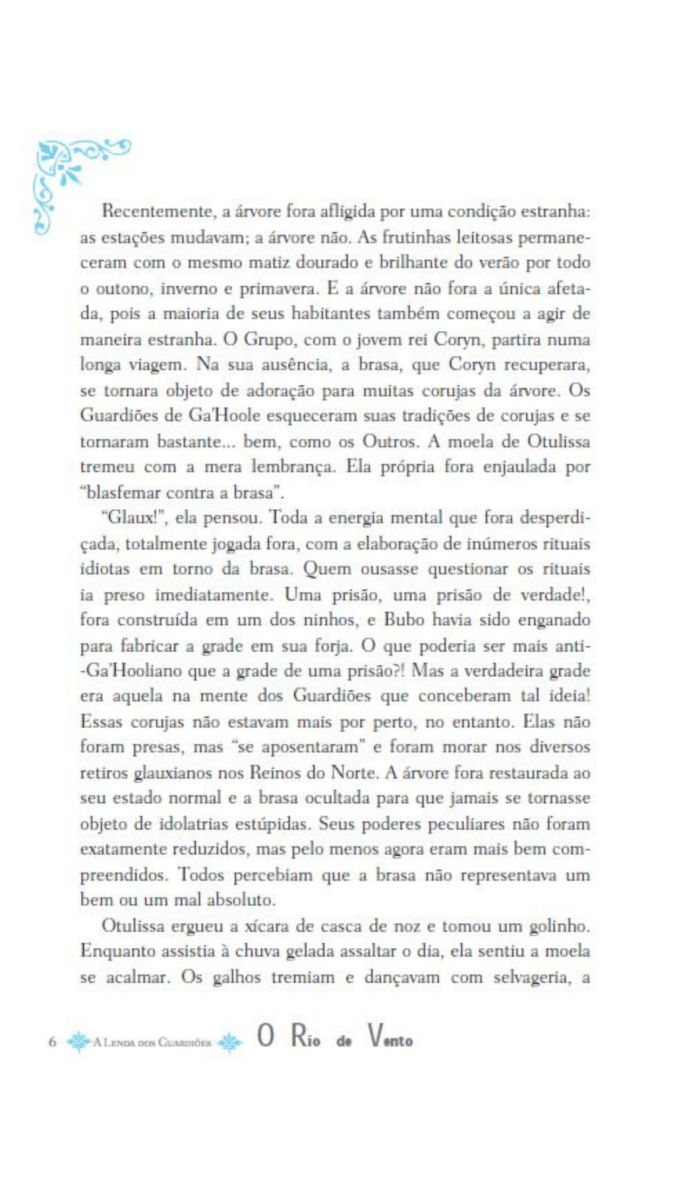 A Lenda dos Guardiões 13 - o Rio de Vento - Editora Fundamento livro_infantil