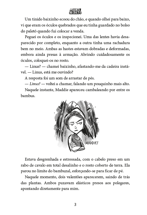 Kit Agente Secreto - 2 Livros (2 ao 3)