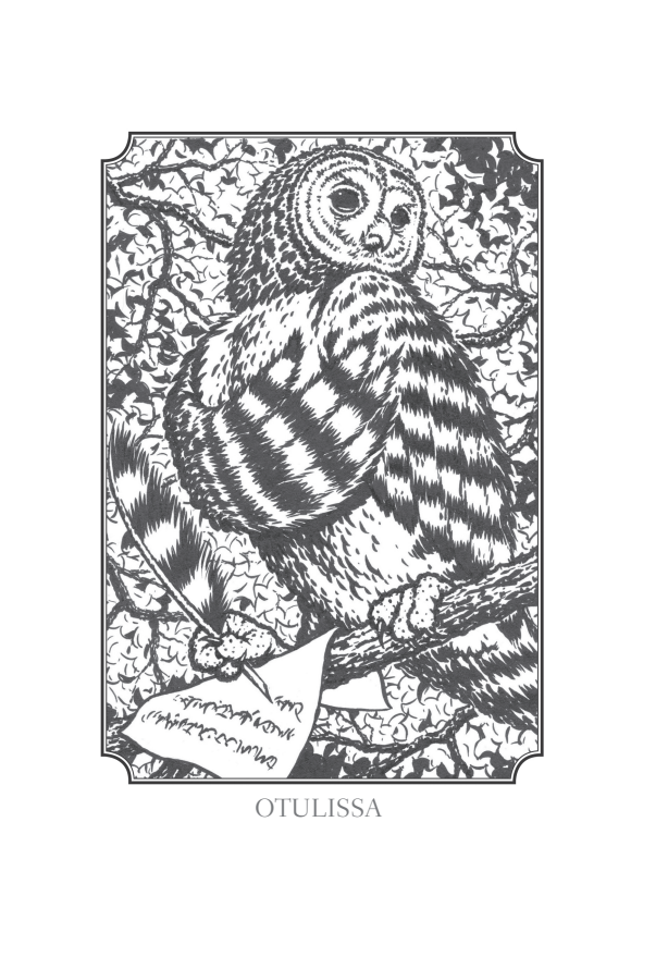 A Lenda dos Guardiões - o Guia da Grande Árvore Ga Hoole