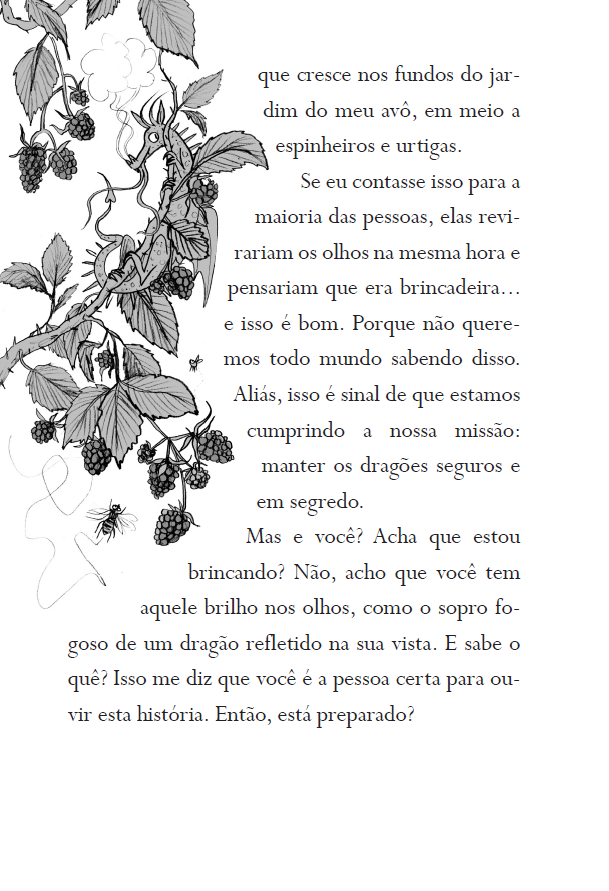 O Menino Que Sonhava com Dragões - Série o Menino Que Criava Dragões, Vol 4