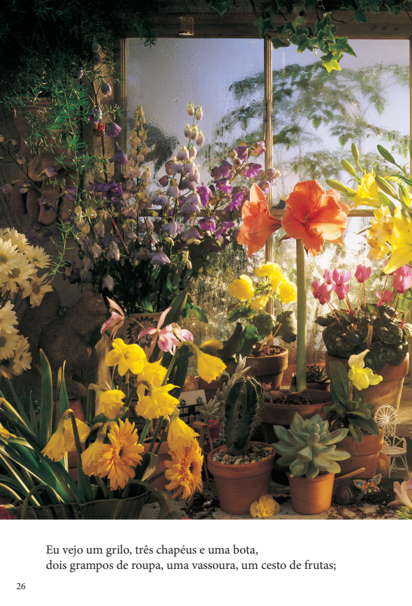 Kit Onde Está? - 2 Livros