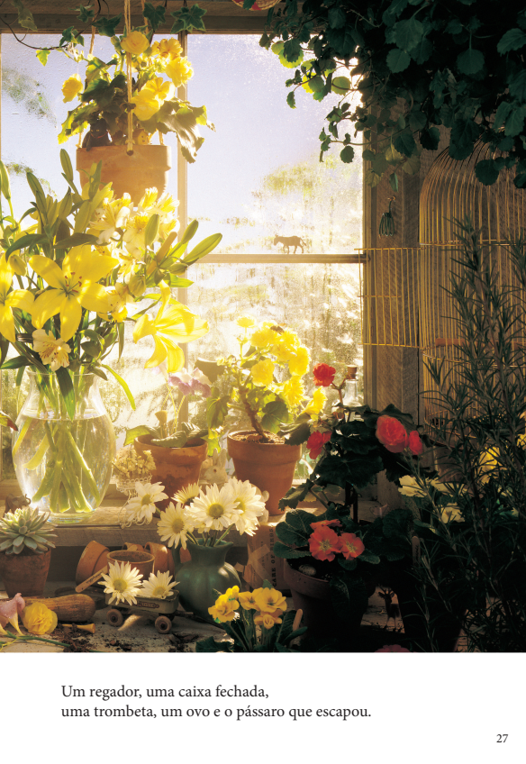 Kit Onde Está? - 2 Livros