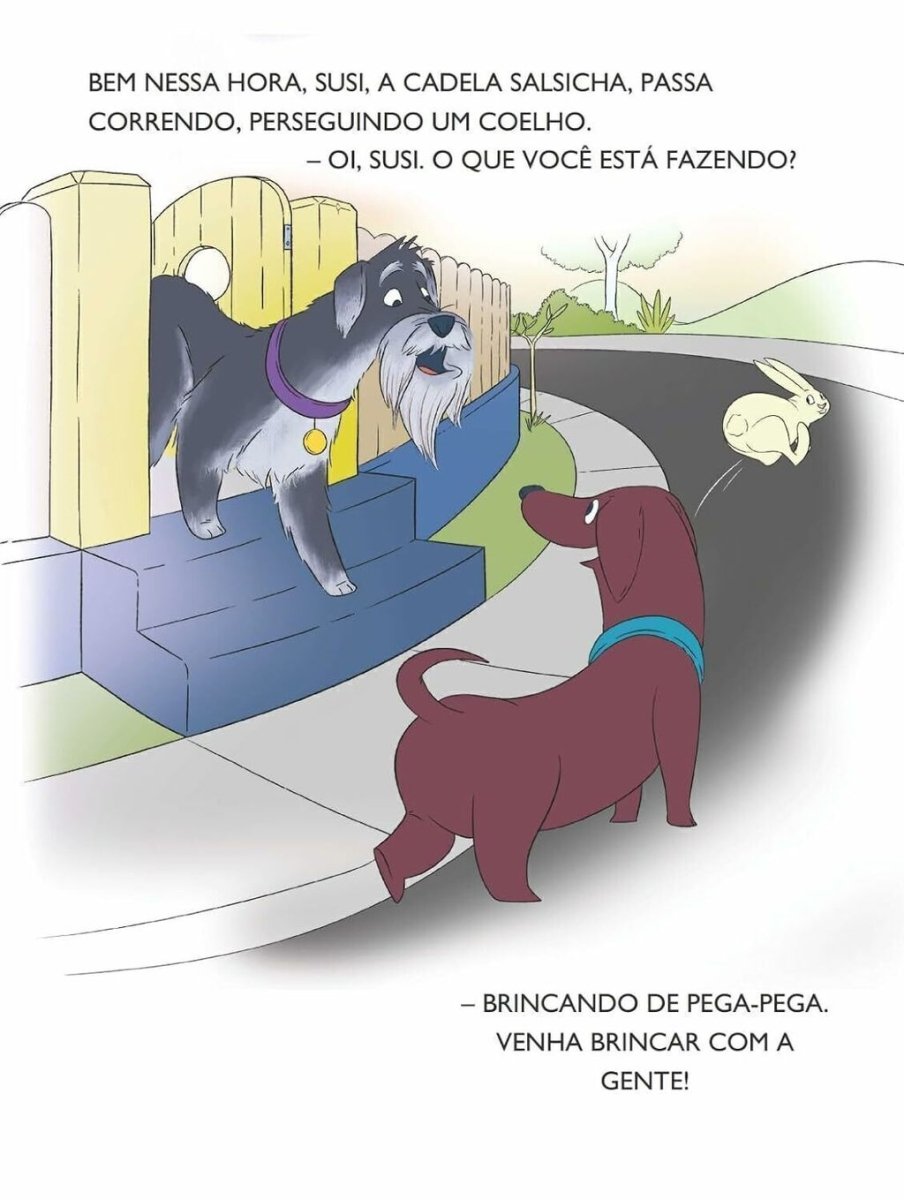 Chico Travesso - Editora Fundamento livro_infantil