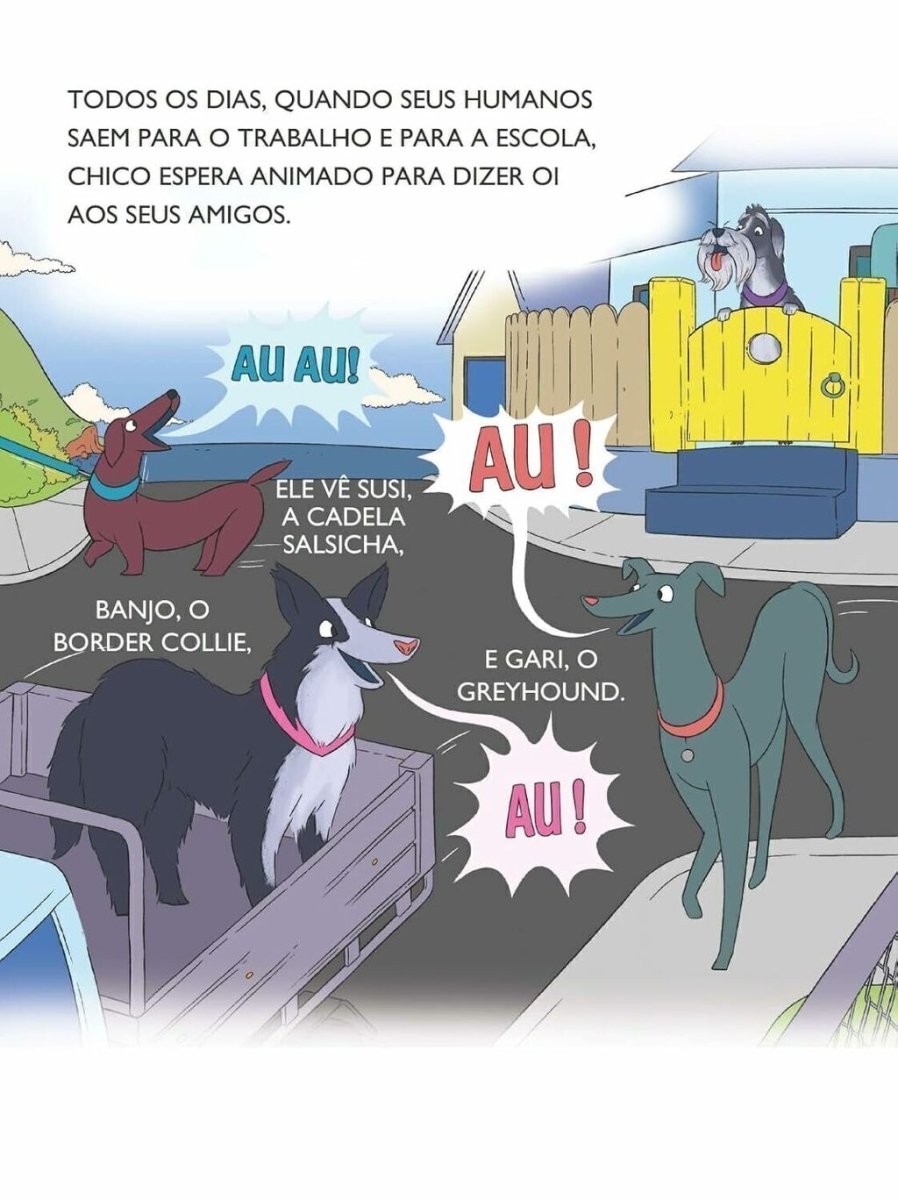 Chico Travesso - Editora Fundamento livro_infantil