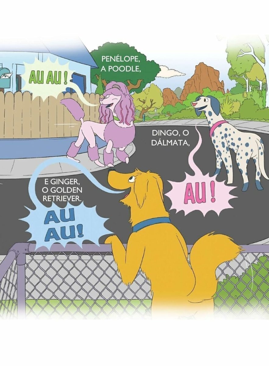 Chico Travesso - Editora Fundamento livro_infantil