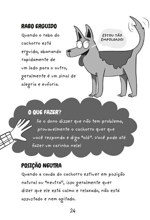 Como Conversar com Seu Pet - Editora Fundamento livro_infantil