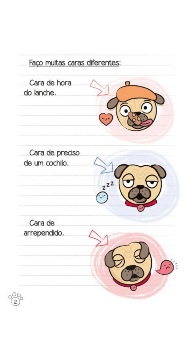 Diário de Um Pug: a Festa do Pijama do Bob - Editora Fundamento livro_infantil
