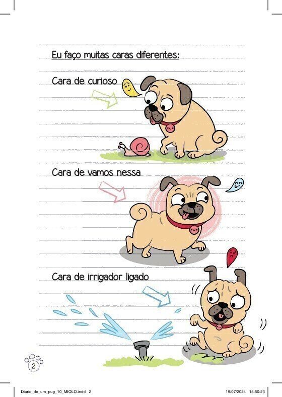 Diário de Um Pug: Pug na Praia - Editora Fundamento livro_infantil