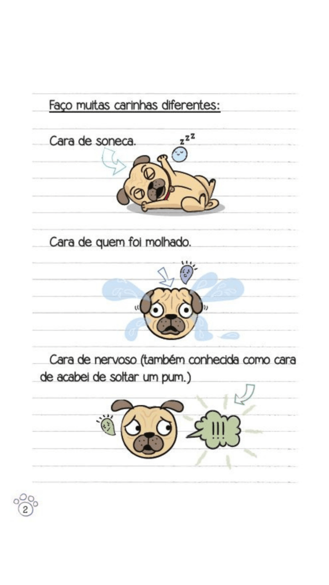 Diário de Um Pug: Show de Talentos - Editora Fundamento livro_infantil