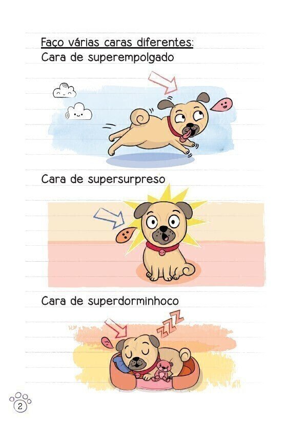 Diário de Um Pug: Superpug - Editora Fundamento livro_infantil