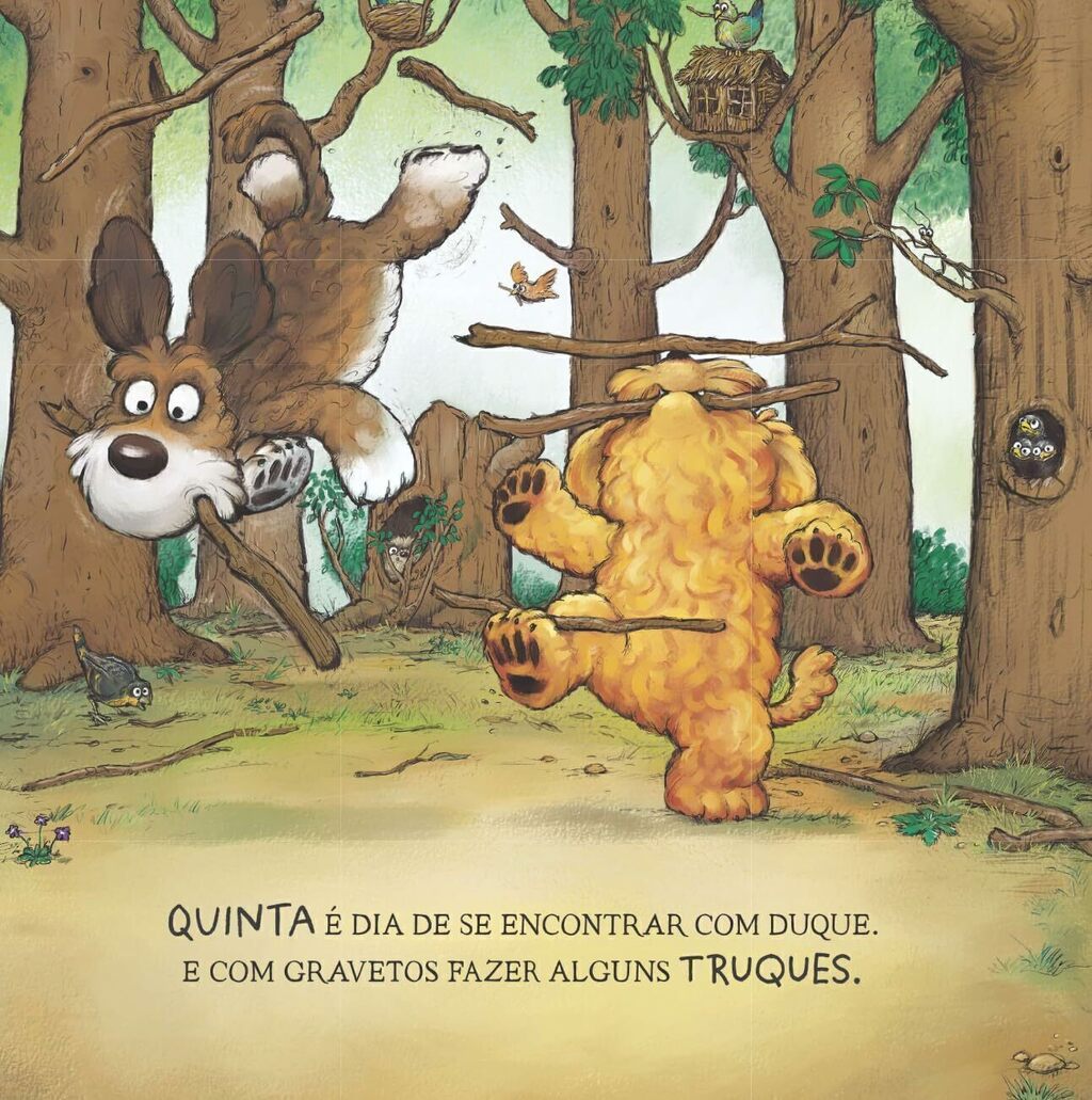 Diversão em Quatro Patas - Editora Fundamento livro_infantil