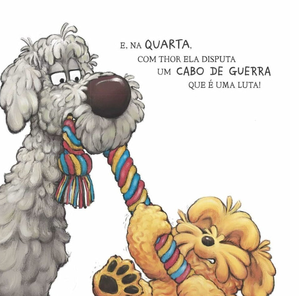 Diversão em Quatro Patas - Editora Fundamento livro_infantil