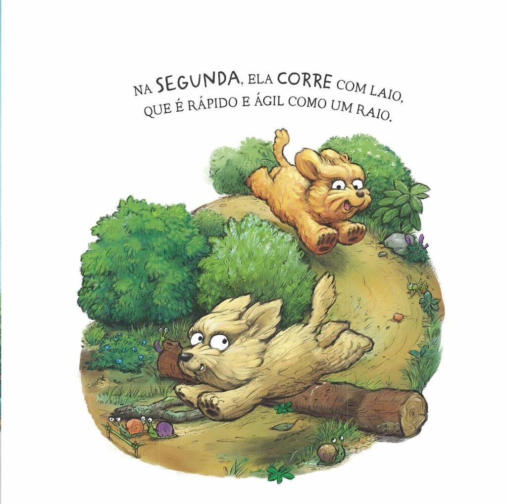Diversão em Quatro Patas - Editora Fundamento livro_infantil