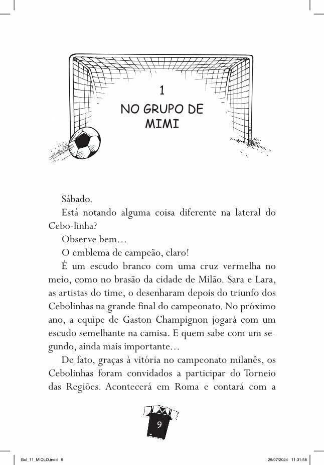 Gol 11 - Entrevista com o Campeão - Editora Fundamento livro_infantil
