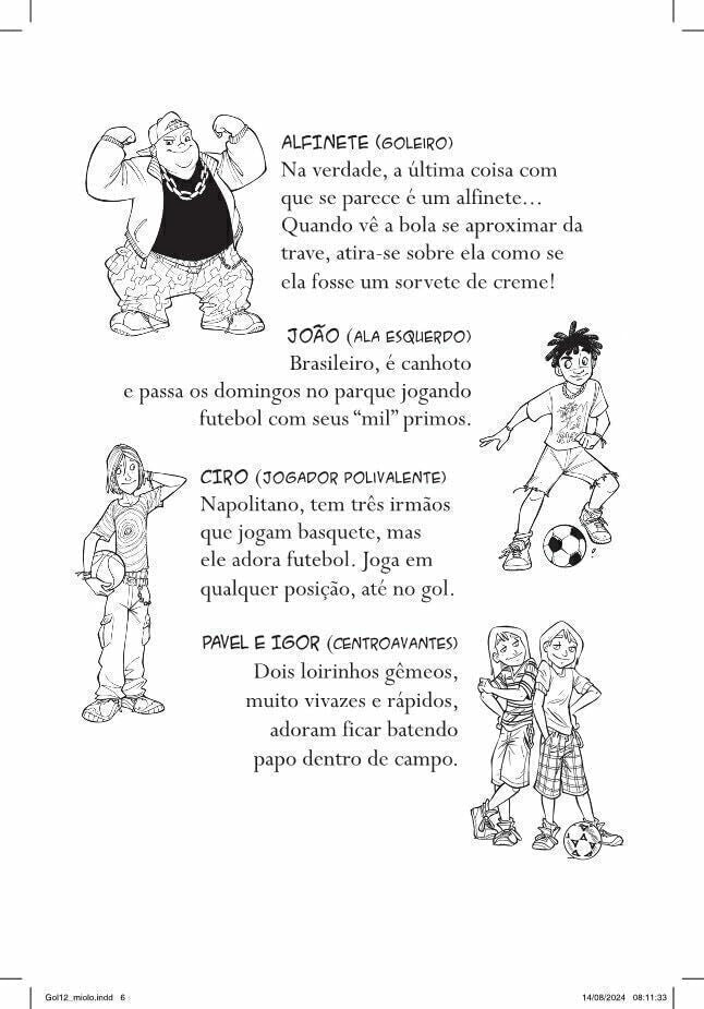 Gol 12 - O Novo Time - Editora Fundamento livro_infantil