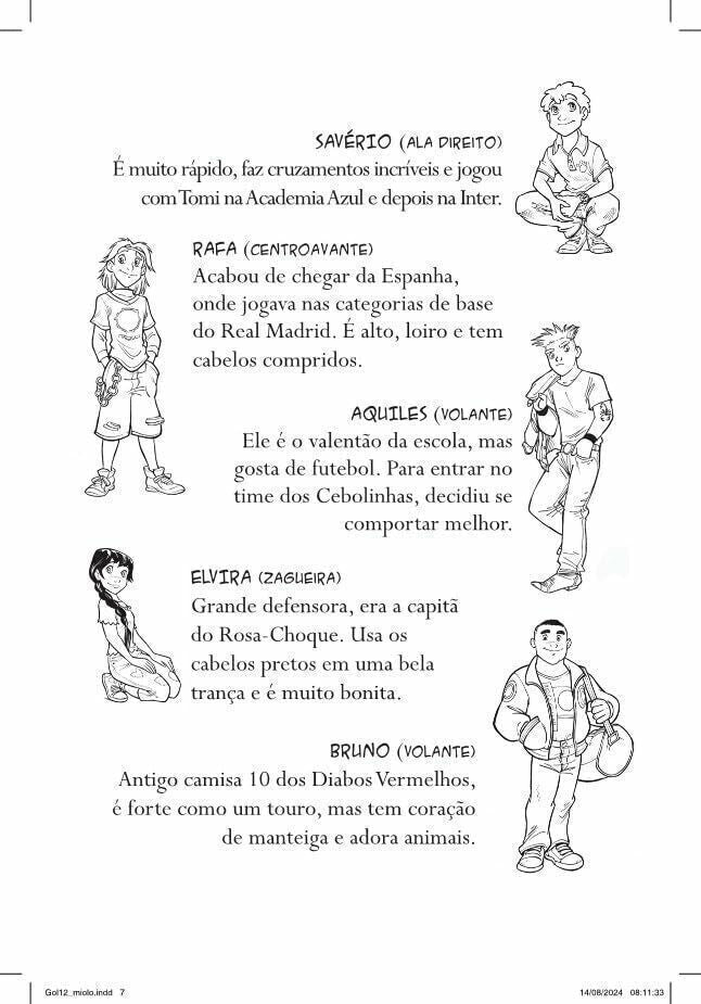 Gol 12 - O Novo Time - Editora Fundamento livro_infantil