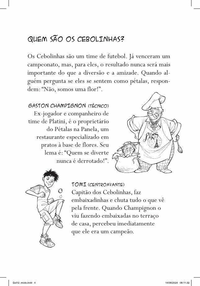 Gol 12 - O Novo Time - Editora Fundamento livro_infantil