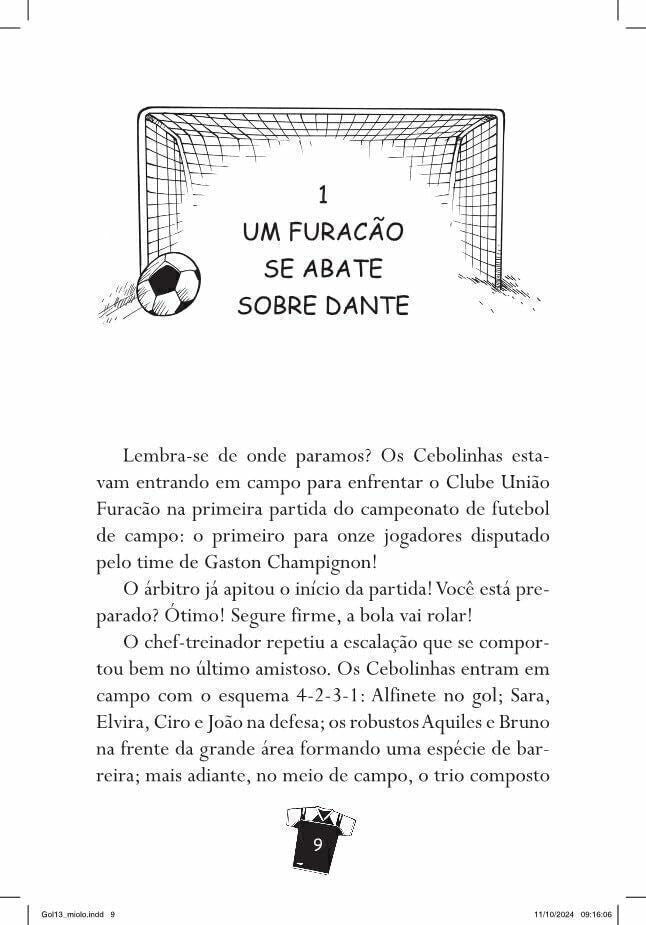 Gol 3 - Começa o Campeonato - Editora Fundamento livro_infantil