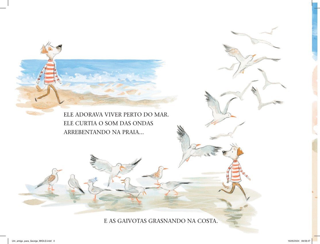 Kit 12 Livros Infantis para Crianças de 3 - 6 Anos - Editora Fundamento livro_infantil
