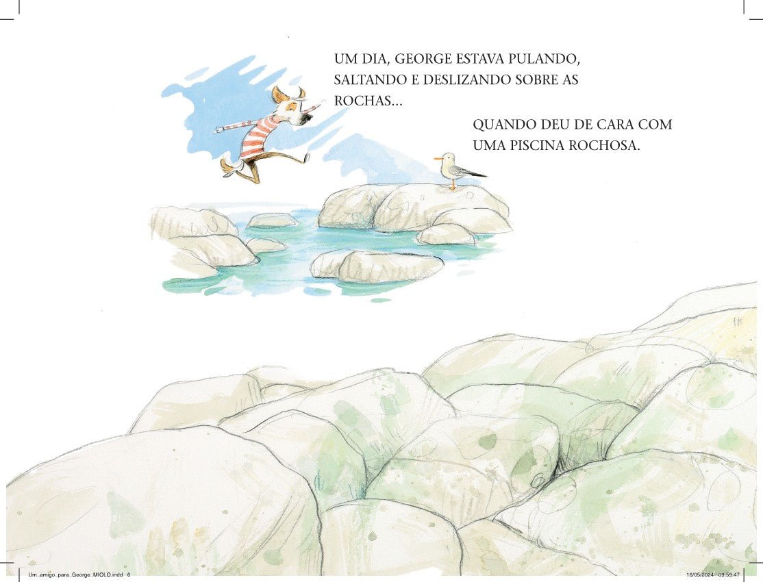 Kit 12 Livros Infantis para Crianças de 3 - 6 Anos - Editora Fundamento livro_infantil