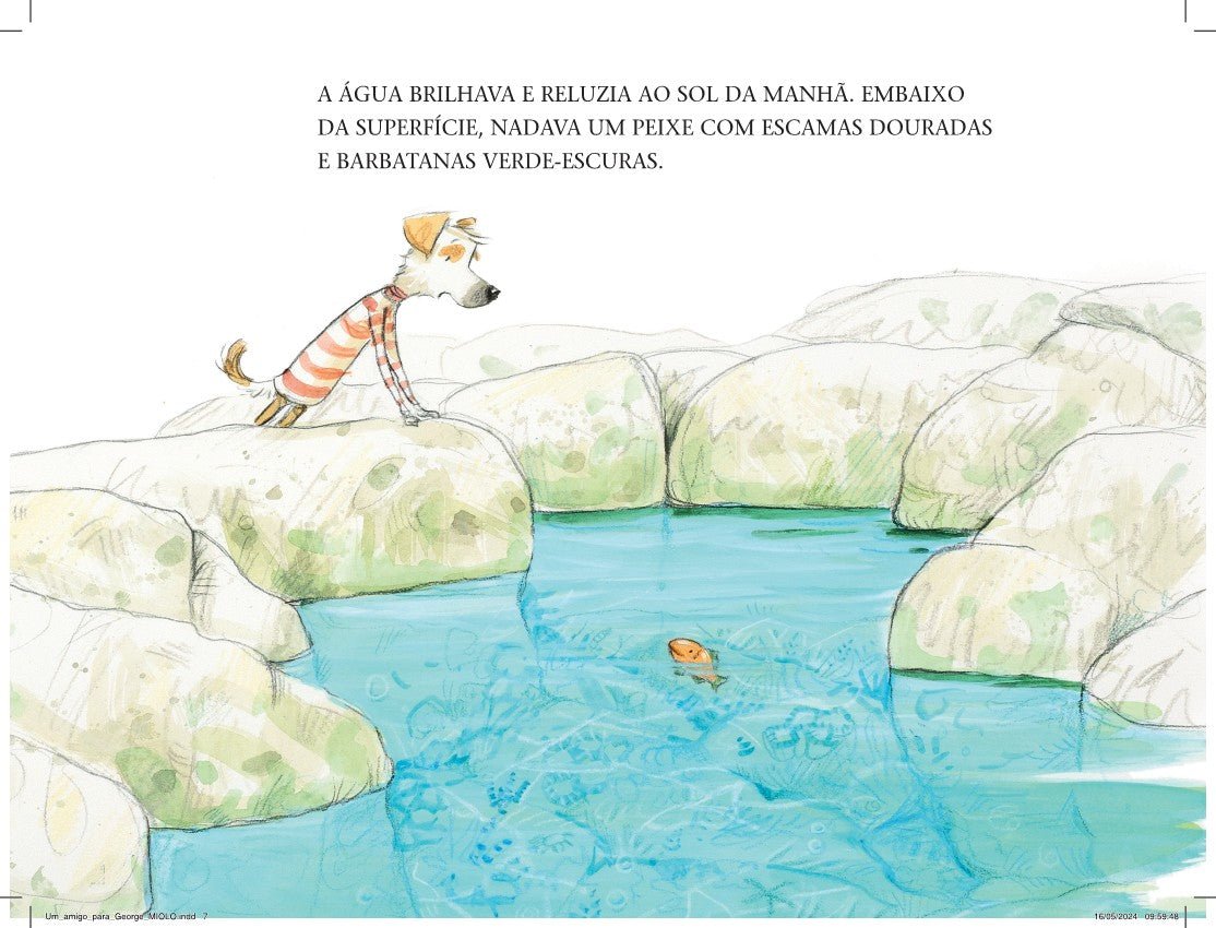 Kit 12 Livros Infantis para Crianças de 3 - 6 Anos - Editora Fundamento livro_infantil