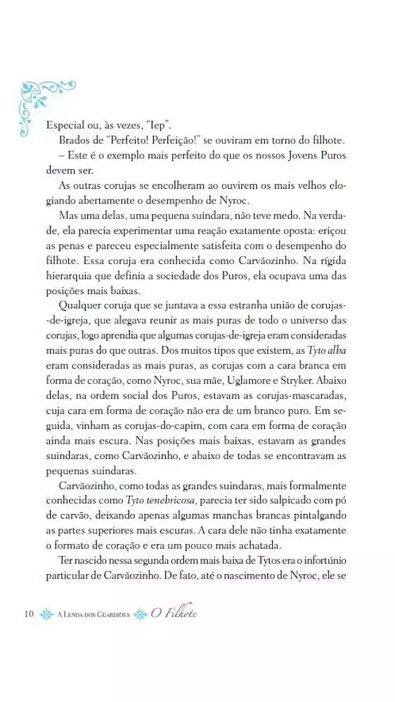 Kit A Lenda dos Guardiões - 15 Livros (2 ao 16) - Editora Fundamento livro_infantil