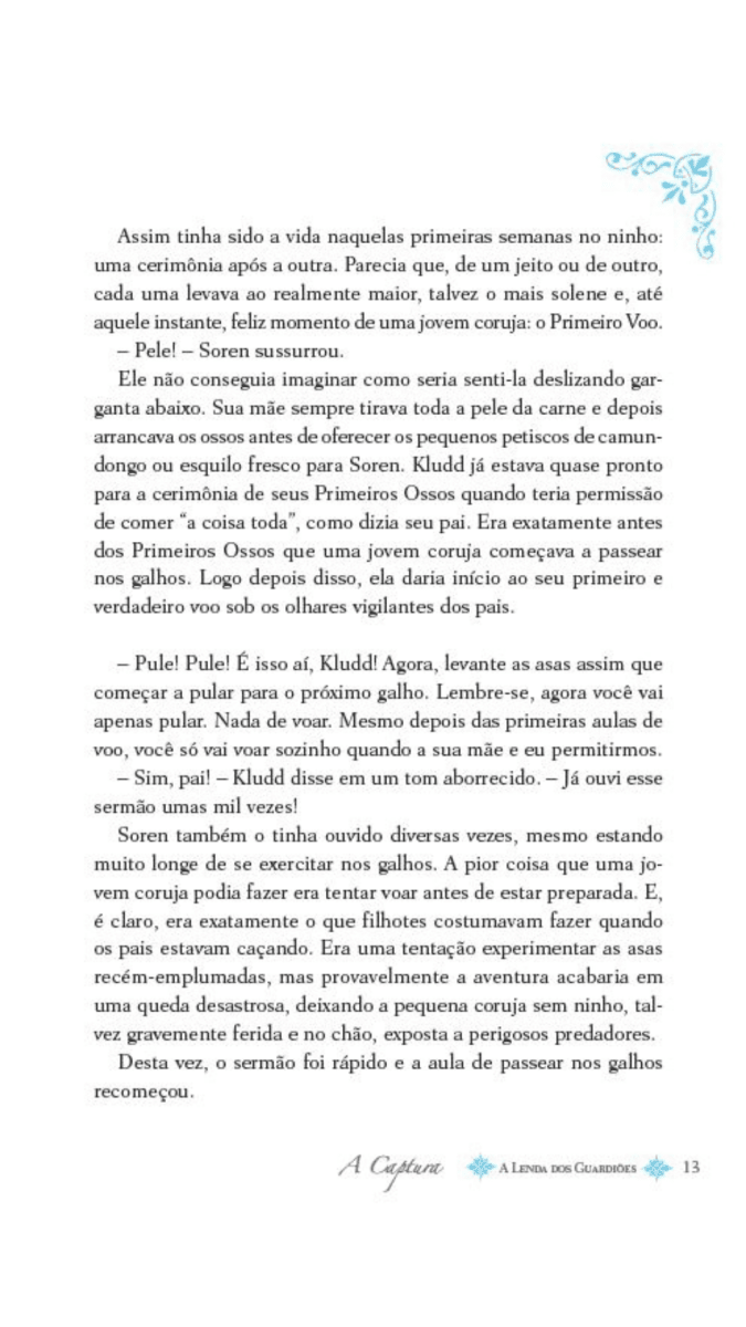 Kit A Lenda dos Guardiões - 16 Livros - Editora Fundamento livro_infantil