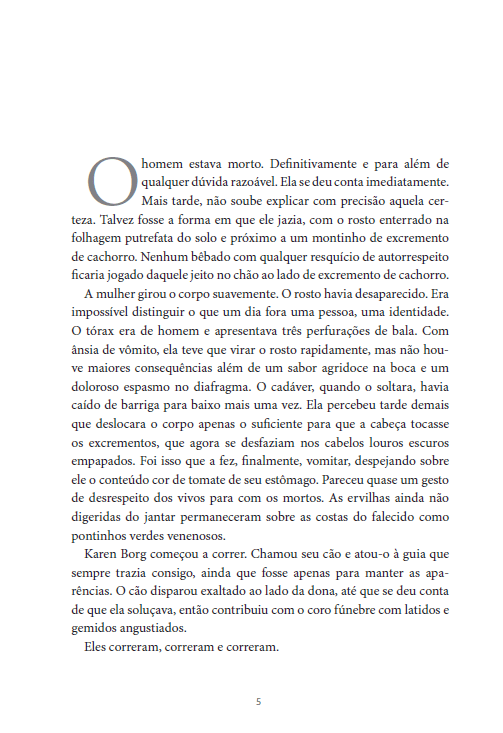 Kit Anne Holt - 4 Livros - Editora Fundamento livro_infantil