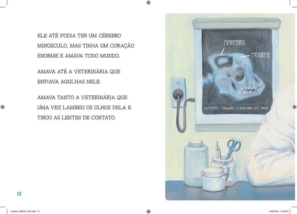Kit Corajoso - 2 Livros - Editora Fundamento livro_infantil