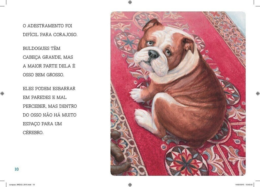 Kit Corajoso - 2 Livros - Editora Fundamento livro_infantil